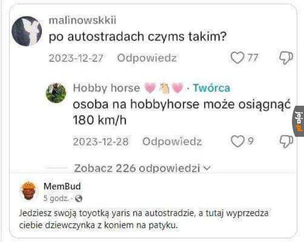 Hobby Horse