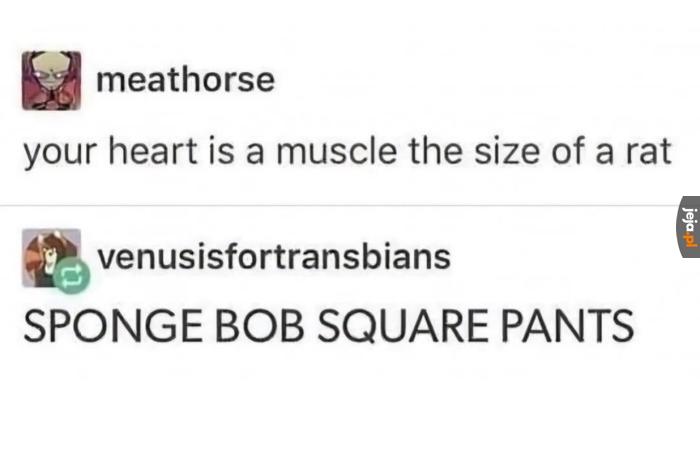 Pasuje