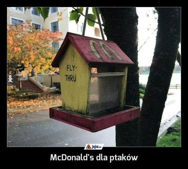 McDonald's dla ptaków