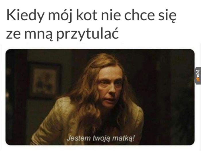 Ranisz mnie kocie