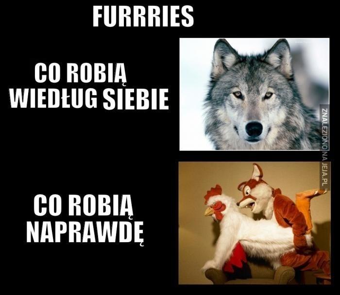 Prawda o Furry