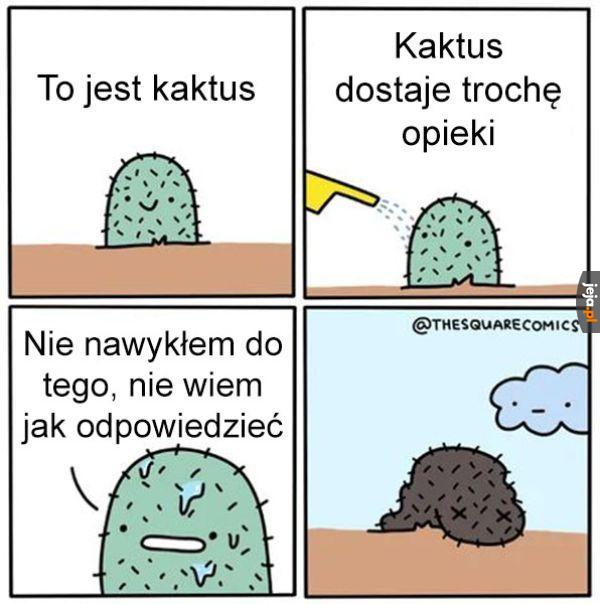 Kaktusy tak mają
