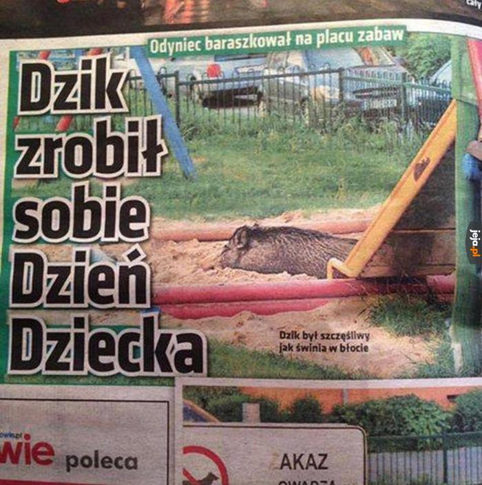 Dzik też człowiek, a więc i dziecko