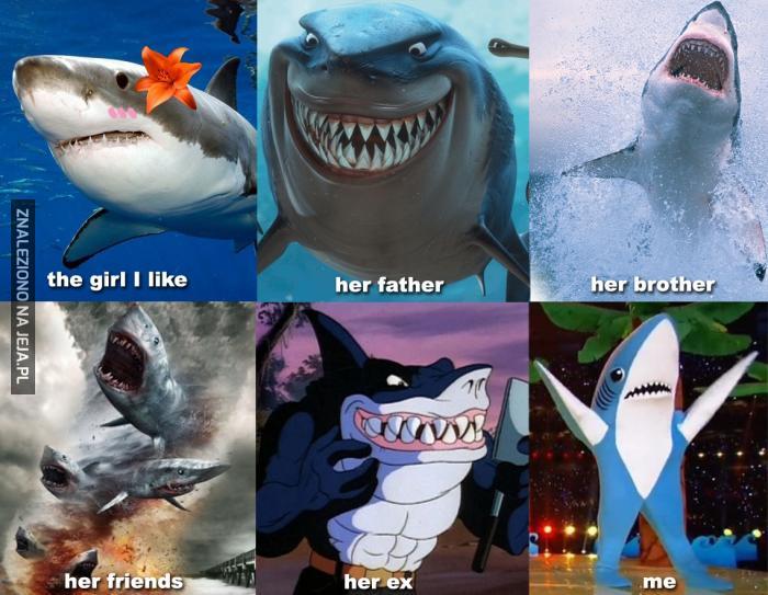 Rodzina rekinów
