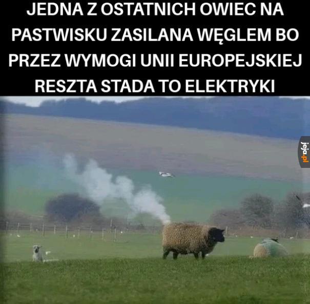 Ach te dyrektywy