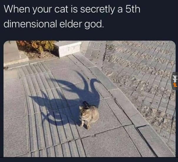 Kot Lovecrafta