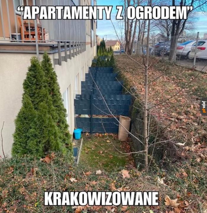 Janusz, ten żul znowu śpi u nas w ogrodzie!