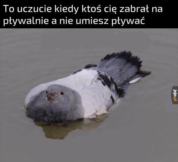 Pływanie