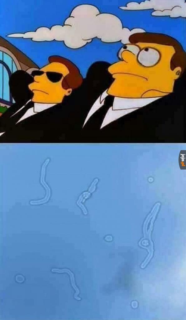 Każdy to zna