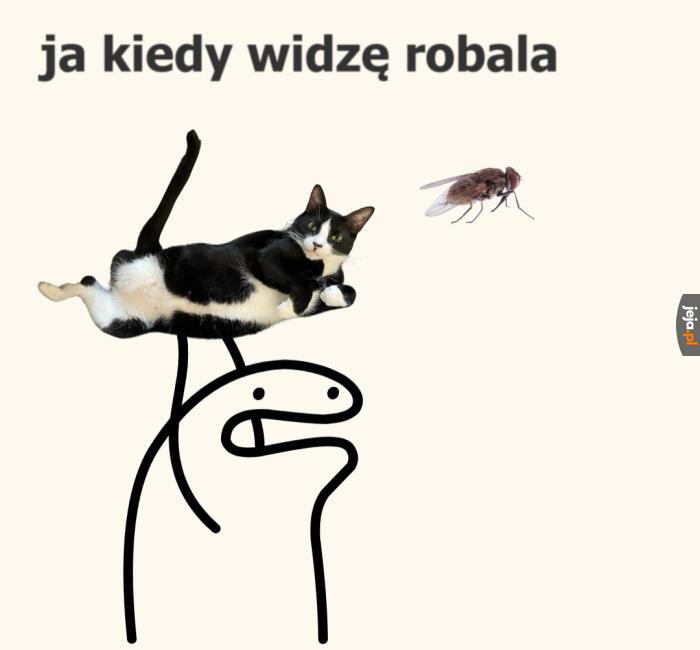 Do boju Puszek