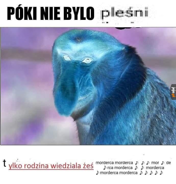 Tekst dolny
