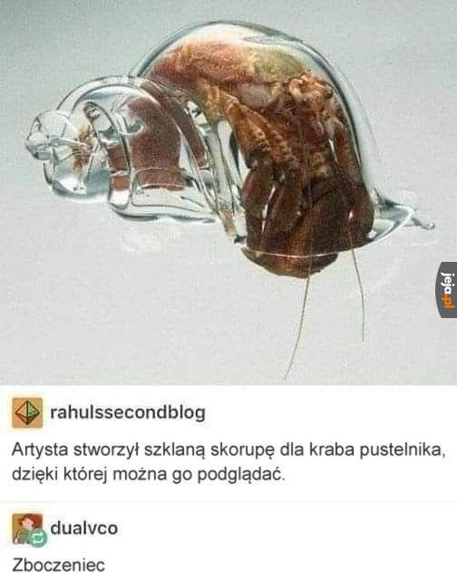 Zero prywatności