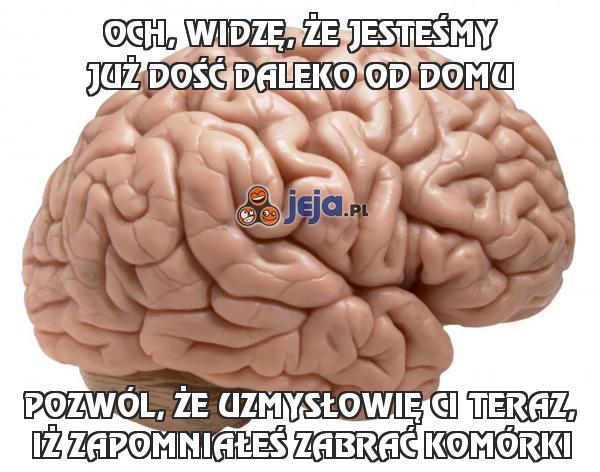 Och, widzę, że jesteśmy już dość daleko od domu