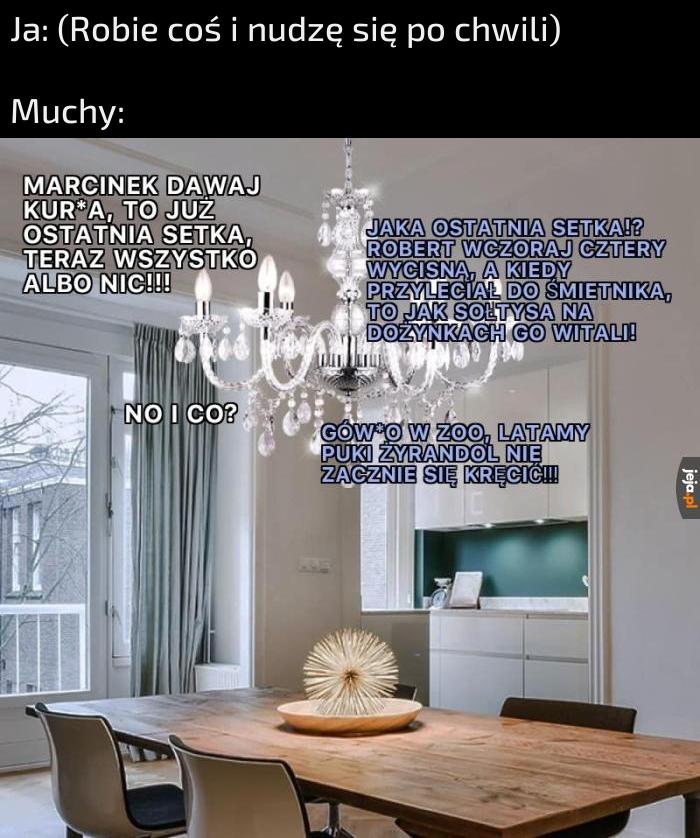 Muchy