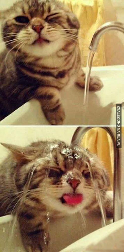 Kociak wie jak się myć