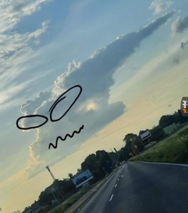 Domino nie zapomnij kim jesteś