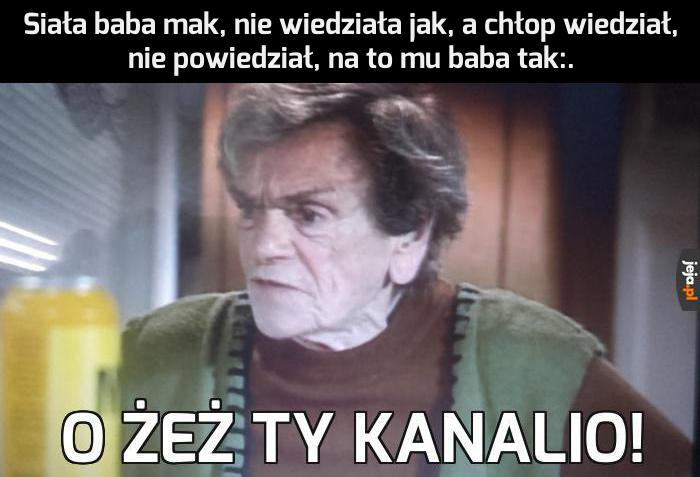 Siała baba mak