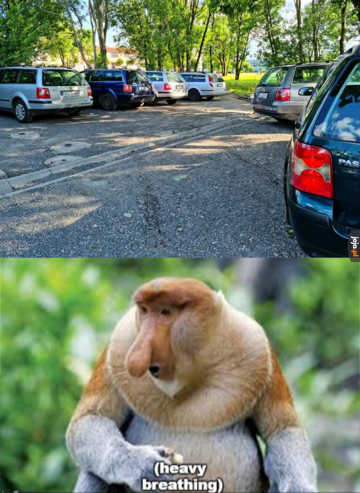 Janusz małpa mem