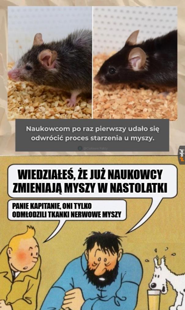 W wyniku eksperymentu przywrócono wzrok myszom poprzez terapie genową - co jest imponujące