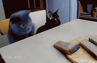 Daj mi ten chleb!