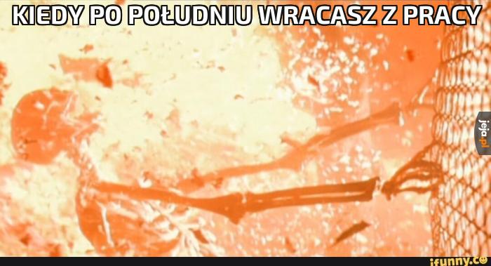 Kiedy po południu wracasz z pracy