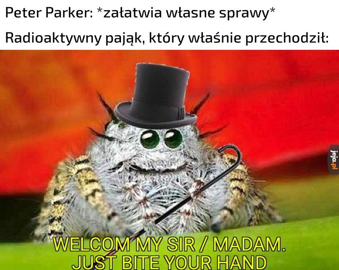 Tytuł zmienił się w Spidermana dżentelmena