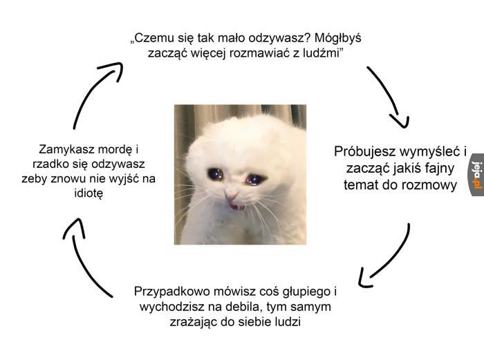 Moje życie w skrócie