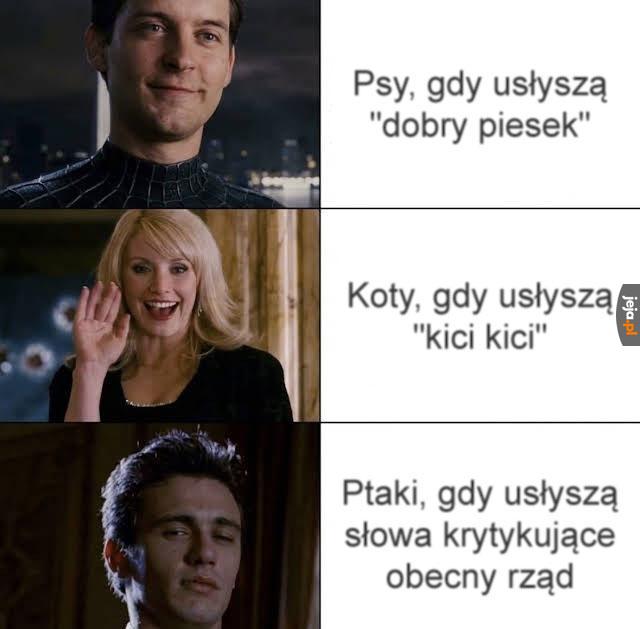 Ciii