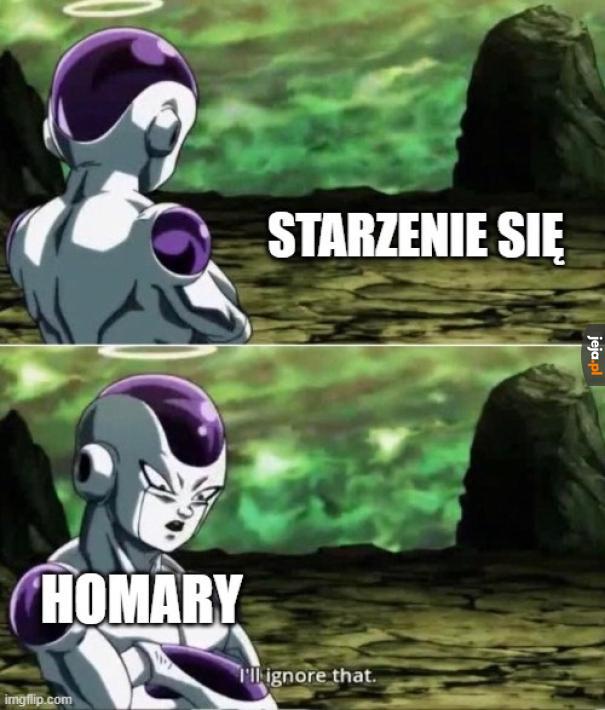 Są zbudowane inaczej
