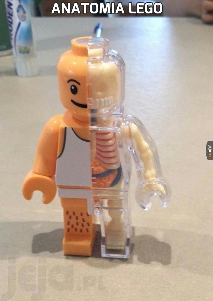 Anatomia Lego