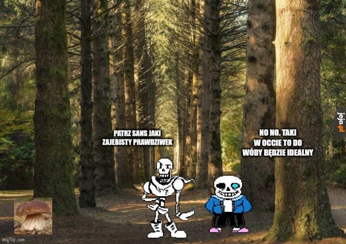 Skieleton