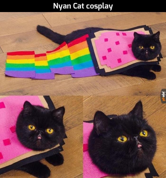 Nyan Cat cosplay