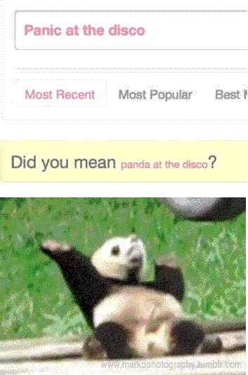 Disco panda
