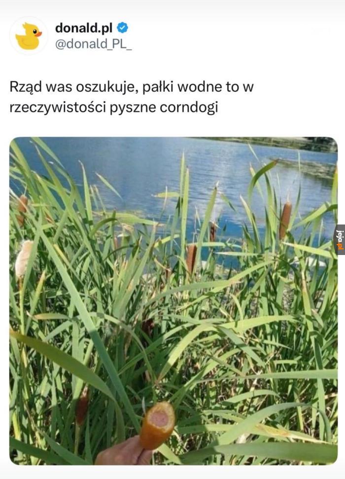 To są fakty