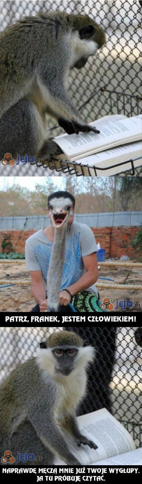Tymczasem w Zoo...