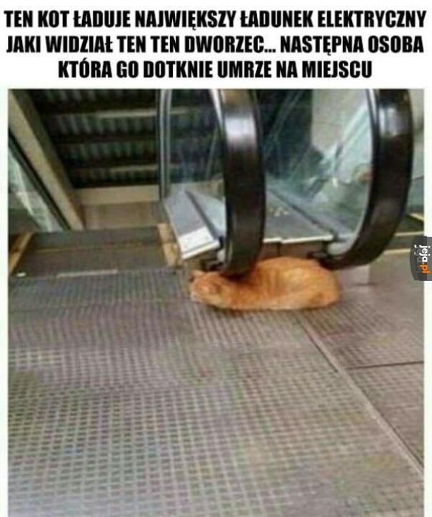 Nie dotykać!