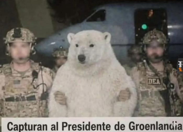 Zero znajomości języka, 100% zrozumienia