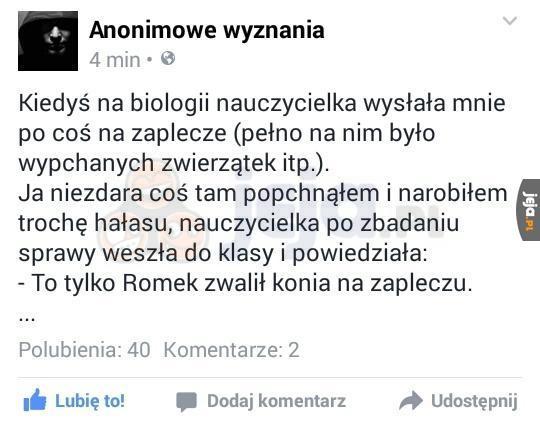 Tylko po co komu trzymać konia na zapleczu?