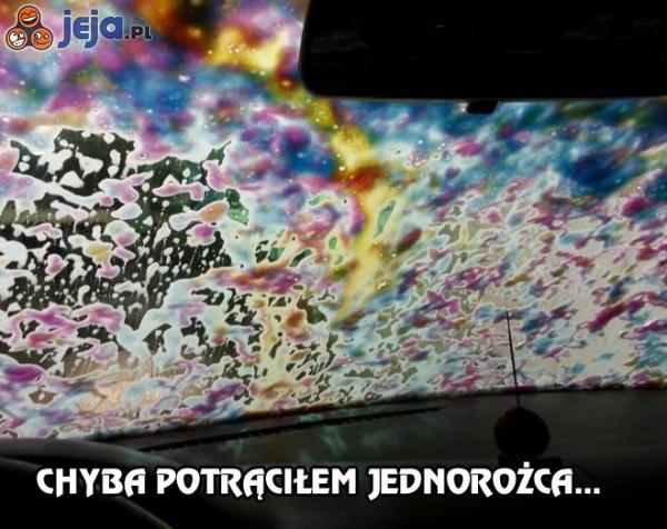 Chyba potrąciłem jednorożca