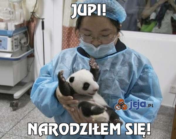 Jupi!