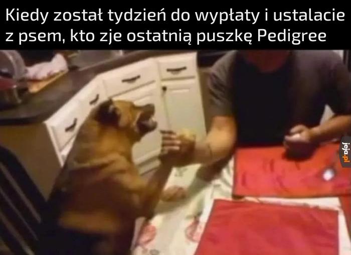 Niech wygra najlepszy