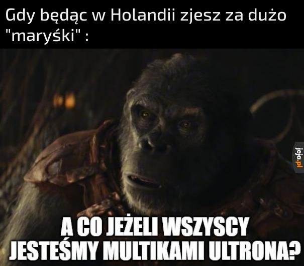 A co, jeżeli naprawdę nimi jesteśmy?