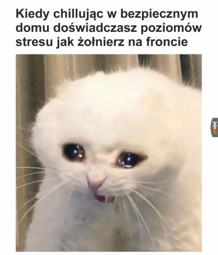 Nie polecam stanów lękowych