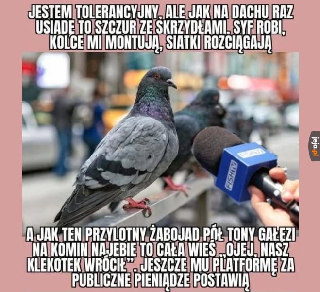 Nietolerancja się szerzy