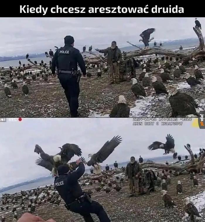Trzy orły dla ostrzeżenia
