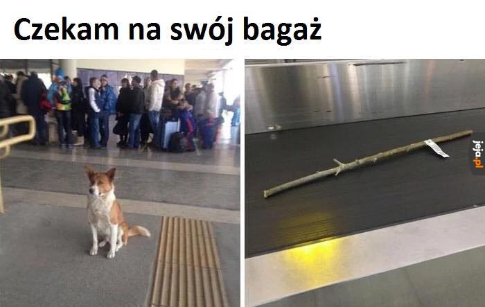 Kijaszek