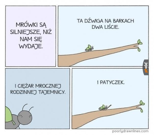 Siła mrówek