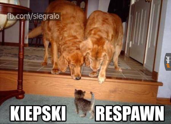 No to wpadł