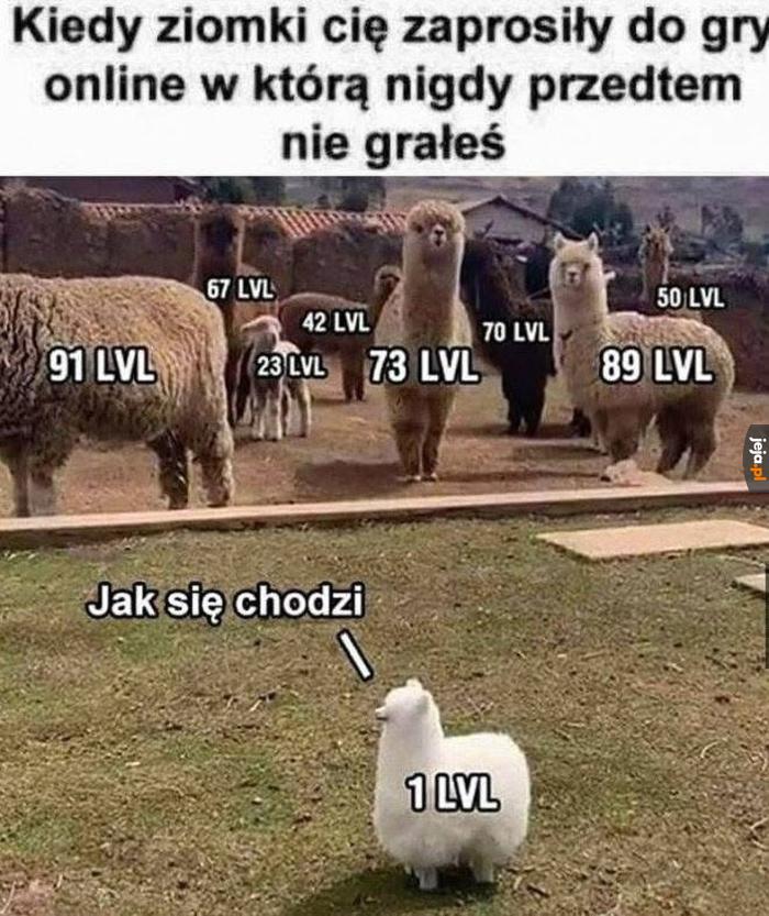 Kto pomoże noobkowi?