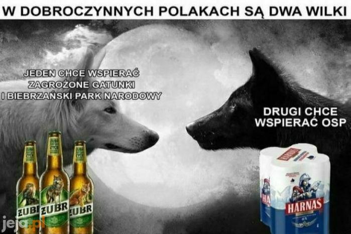 A Ty kogo wspierasz?